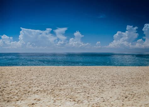 beach ass|2,372 Ass On The Beach Stock Photos & High